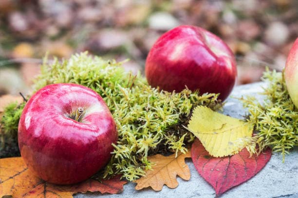 قیمت سیب قرمز استخوانی + خرید باور نکردنی